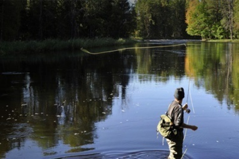 Bild för kategori Fiskeutrustning