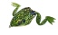 Bild på Frog